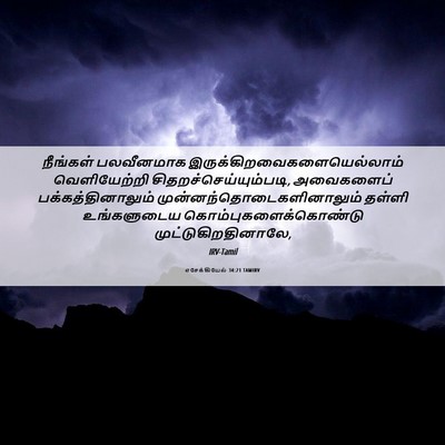 Picture 06 - எசேக்கியேல் 34:21 TAMIRV - நீங்கள் பலவீனமாக - Bible Verse Picture
