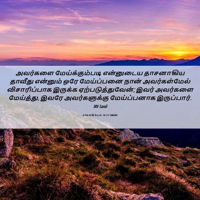 Picture 06 - எசேக்கியேல் 34:23 TAMIRV - அவர்களை - Bible Verse Picture