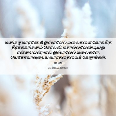 Picture 06 - எசேக்கியேல் 36:1 TAMIRV - மனிதகுமாரனே, நீ - Bible Verse Picture