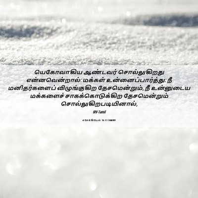 Picture 06 - எசேக்கியேல் 36:13 TAMIRV - யெகோவாகிய ஆண்டவர் - Bible Verse Picture
