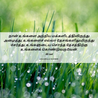 Picture 06 - எசேக்கியேல் 36:24 TAMIRV - நான் உங்களை - Bible Verse Picture
