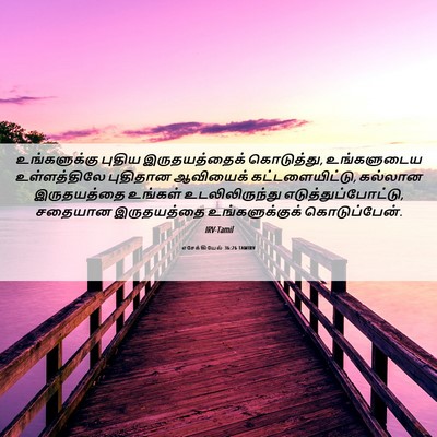 Picture 06 - எசேக்கியேல் 36:26 TAMIRV - உங்களுக்கு புதிய - Bible Verse Picture