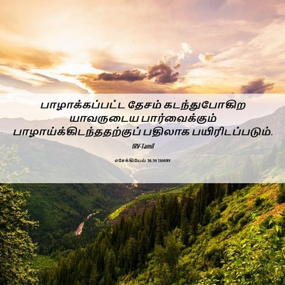 Picture 06 - எசேக்கியேல் 36:34 TAMIRV - பாழாக்கப்பட்ட - Bible Verse Picture
