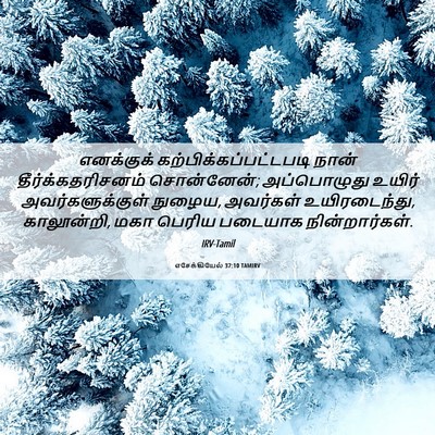 Picture 06 - எசேக்கியேல் 37:10 TAMIRV - எனக்குக் - Bible Verse Picture