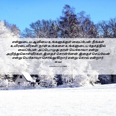 Picture 06 - எசேக்கியேல் 37:14 TAMIRV - என்னுடைய ஆவியை - Bible Verse Picture