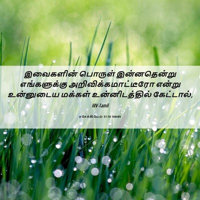 Picture 06 - எசேக்கியேல் 37:18 TAMIRV - இவைகளின் பொருள் - Bible Verse Picture