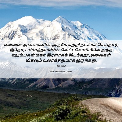 Picture 06 - எசேக்கியேல் 37:2 TAMIRV - என்னை அவைகளின் - Bible Verse Picture