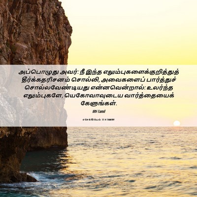 Picture 06 - எசேக்கியேல் 37:4 TAMIRV - அப்பொழுது அவர்: நீ - Bible Verse Picture