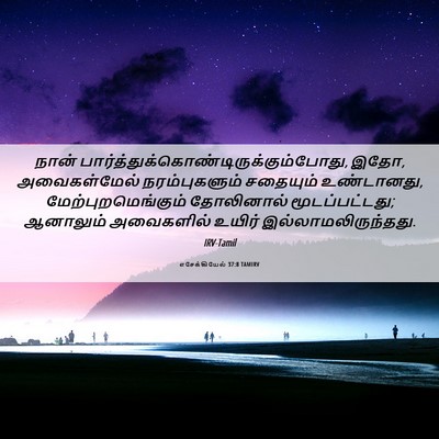 Picture 06 - எசேக்கியேல் 37:8 TAMIRV - நான் - Bible Verse Picture