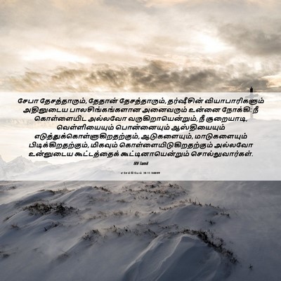 Picture 06 - எசேக்கியேல் 38:13 TAMIRV - சேபா தேசத்தாரும், - Bible Verse Picture
