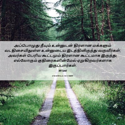 Picture 06 - எசேக்கியேல் 38:15 TAMIRV - அப்பொழுது நீயும் - Bible Verse Picture