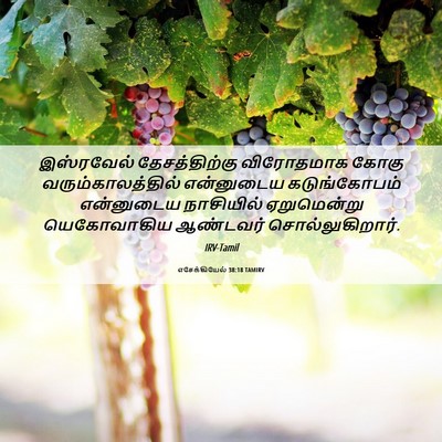 Picture 06 - எசேக்கியேல் 38:18 TAMIRV - இஸ்ரவேல் - Bible Verse Picture