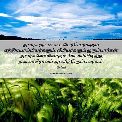 Picture 06 - எசேக்கியேல் 38:5 TAMIRV - அவர்களுடன் கூட - Bible Verse Picture