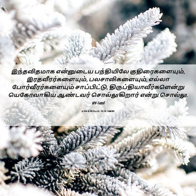 Picture 06 - எசேக்கியேல் 39:20 TAMIRV - இந்தவிதமாக - Bible Verse Picture