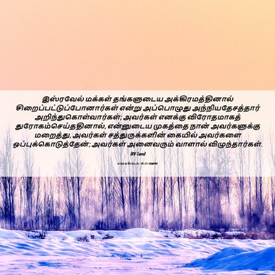 Picture 06 - எசேக்கியேல் 39:23 TAMIRV - இஸ்ரவேல் மக்கள் - Bible Verse Picture