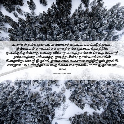 Picture 06 - எசேக்கியேல் 39:26 TAMIRV - அவர்கள் தங்களுடைய - Bible Verse Picture