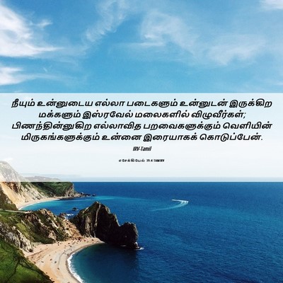 Picture 06 - எசேக்கியேல் 39:4 TAMIRV - நீயும் உன்னுடைய - Bible Verse Picture