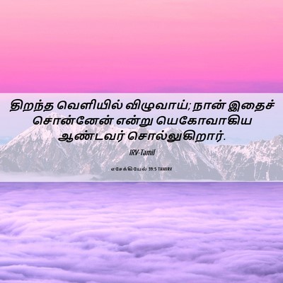 Picture 06 - எசேக்கியேல் 39:5 TAMIRV - திறந்த வெளியில் - Bible Verse Picture