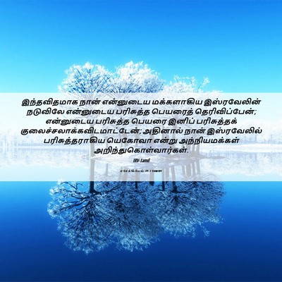 Picture 06 - எசேக்கியேல் 39:7 TAMIRV - இந்தவிதமாக நான் - Bible Verse Picture