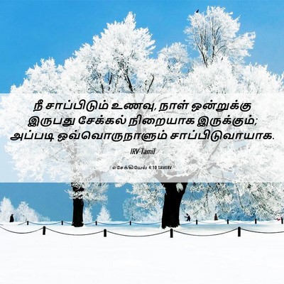 Picture 06 - எசேக்கியேல் 4:10 TAMIRV - நீ சாப்பிடும் - Bible Verse Picture