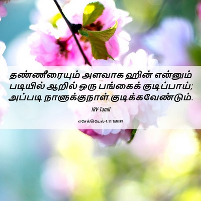 Picture 06 - எசேக்கியேல் 4:11 TAMIRV - தண்ணீரையும் அளவாக - Bible Verse Picture