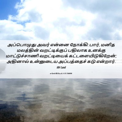 Picture 06 - எசேக்கியேல் 4:15 TAMIRV - அப்பொழுது அவர் - Bible Verse Picture