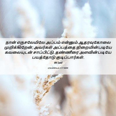 Picture 06 - எசேக்கியேல் 4:17 TAMIRV - நான் எருசலேமிலே - Bible Verse Picture