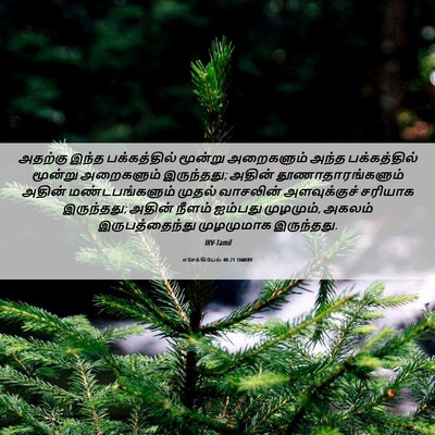 Picture 06 - எசேக்கியேல் 40:21 TAMIRV - அதற்கு இந்த - Bible Verse Picture