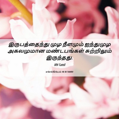 Picture 06 - எசேக்கியேல் 40:30 TAMIRV - இருபத்தைந்து முழ - Bible Verse Picture