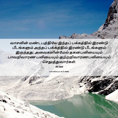 Picture 06 - எசேக்கியேல் 40:39 TAMIRV - வாசலின் - Bible Verse Picture