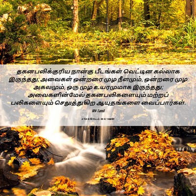 Picture 06 - எசேக்கியேல் 40:42 TAMIRV - தகனபலிக்குரிய - Bible Verse Picture