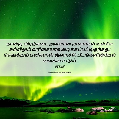Picture 06 - எசேக்கியேல் 40:43 TAMIRV - நான்கு விரற்கடை - Bible Verse Picture