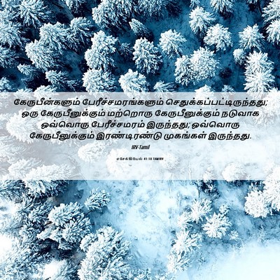 Picture 06 - எசேக்கியேல் 41:18 TAMIRV - கேருபீன்களும் - Bible Verse Picture