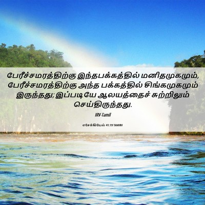 Picture 06 - எசேக்கியேல் 41:19 TAMIRV -  - Bible Verse Picture
