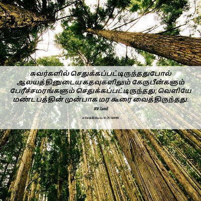 Picture 06 - எசேக்கியேல் 41:25 TAMIRV - சுவர்களில் - Bible Verse Picture