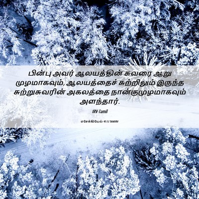 Picture 06 - எசேக்கியேல் 41:5 TAMIRV - பின்பு அவர் - Bible Verse Picture