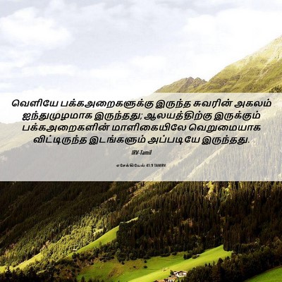 Picture 06 - எசேக்கியேல் 41:9 TAMIRV - வெளியே - Bible Verse Picture