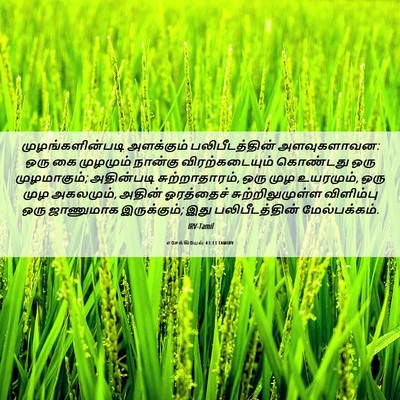 Picture 06 - எசேக்கியேல் 43:13 TAMIRV - முழங்களின்படி - Bible Verse Picture