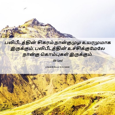 Picture 06 - எசேக்கியேல் 43:15 TAMIRV - பலிபீடத்தின் - Bible Verse Picture