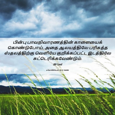 Picture 06 - எசேக்கியேல் 43:21 TAMIRV - பின்பு - Bible Verse Picture