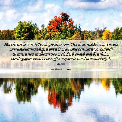 Picture 06 - எசேக்கியேல் 43:22 TAMIRV - இரண்டாம் நாளிலே - Bible Verse Picture