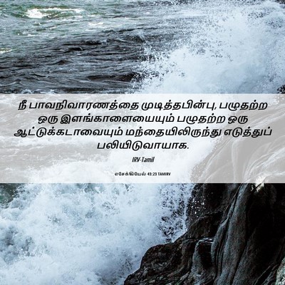Picture 06 - எசேக்கியேல் 43:23 TAMIRV - நீ பாவநிவாரணத்தை - Bible Verse Picture