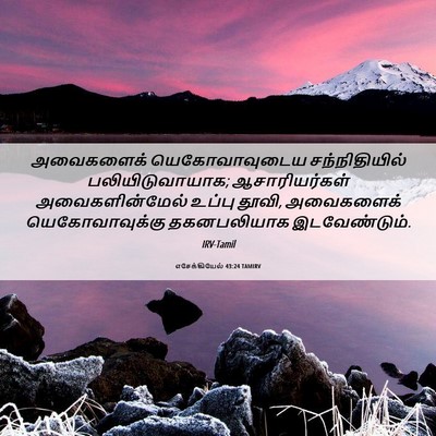 Picture 06 - எசேக்கியேல் 43:24 TAMIRV - அவைகளைக் - Bible Verse Picture