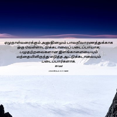 Picture 06 - எசேக்கியேல் 43:25 TAMIRV - ஏழுநாள்வரைக்கும் - Bible Verse Picture