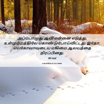 Picture 06 - எசேக்கியேல் 43:5 TAMIRV - அப்பொழுது ஆவி - Bible Verse Picture