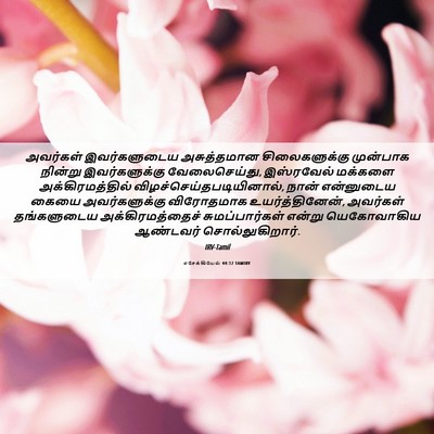 Picture 06 - எசேக்கியேல் 44:12 TAMIRV - அவர்கள் - Bible Verse Picture
