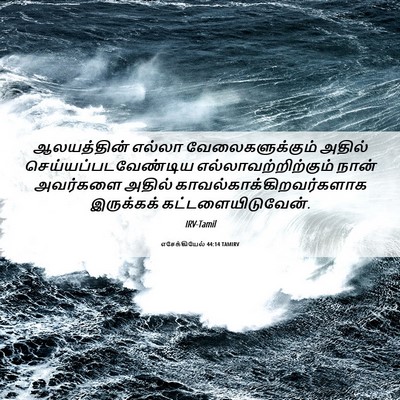 Picture 06 - எசேக்கியேல் 44:14 TAMIRV - ஆலயத்தின் எல்லா - Bible Verse Picture