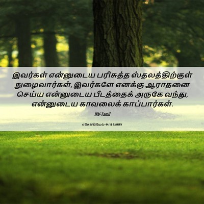 Picture 06 - எசேக்கியேல் 44:16 TAMIRV - இவர்கள் என்னுடைய - Bible Verse Picture