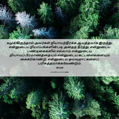Picture 06 - எசேக்கியேல் 44:24 TAMIRV - வழக்கிருந்தால் - Bible Verse Picture