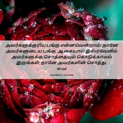 Picture 06 - எசேக்கியேல் 44:28 TAMIRV - அவர்களுக்குரிய - Bible Verse Picture